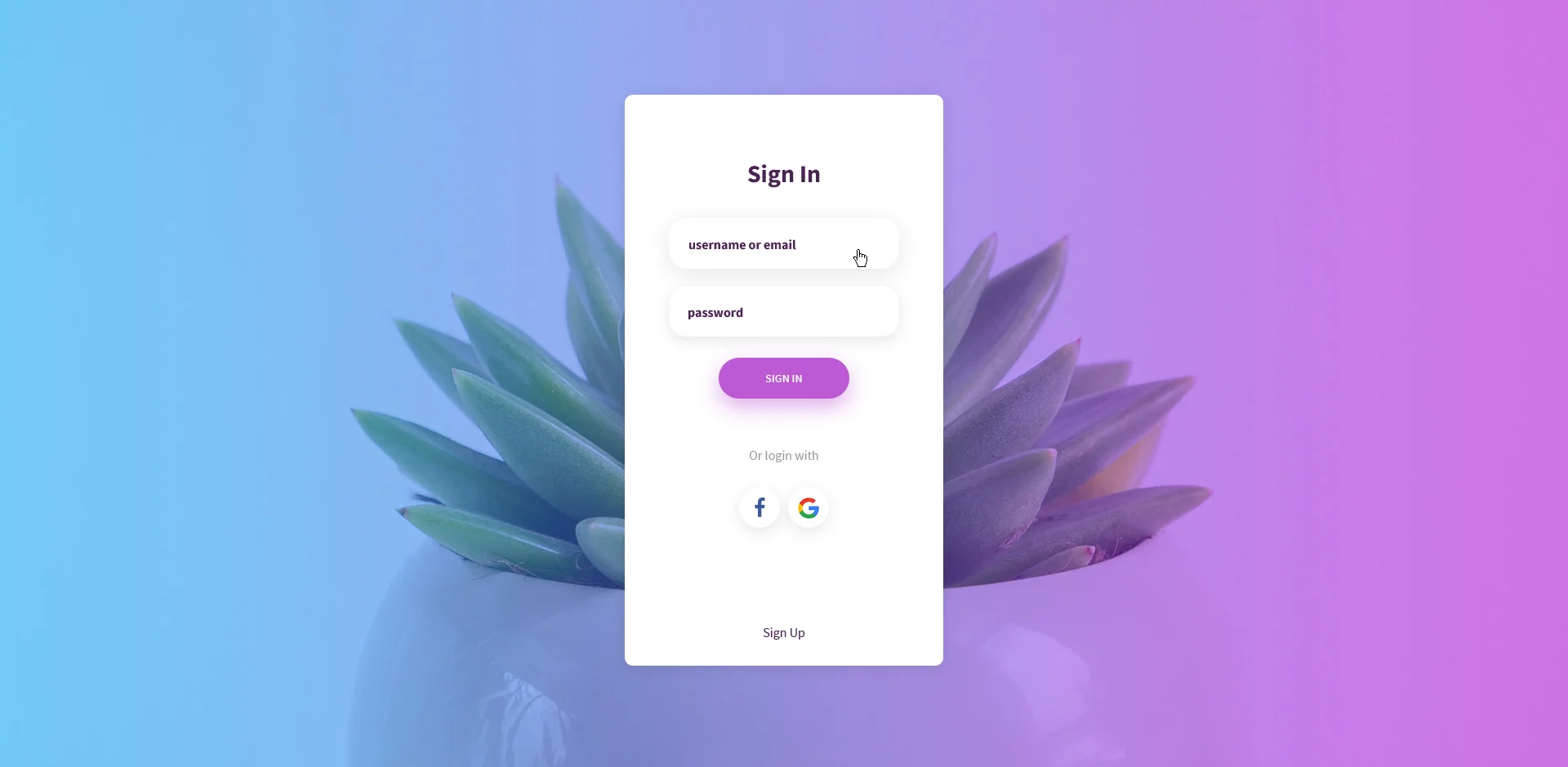 1578886492561848.png 3.png