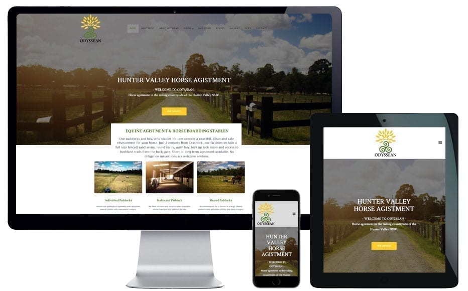 1579257267665117.jpg 2.jpg