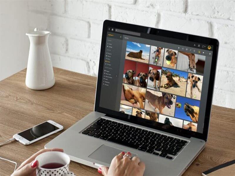 高端品牌網(wǎng)站建設(shè)